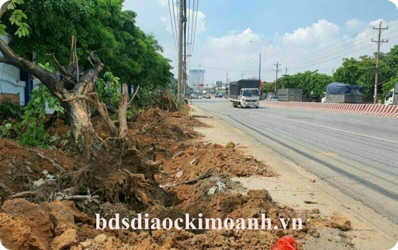 mo rong nang cap quoc lo 13 len 8 lan xe legacy central cang duoc san don 1 1