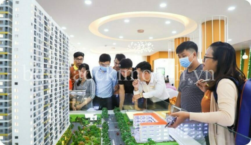 thi truong soi dong dat nen binh duong khan hiem 3