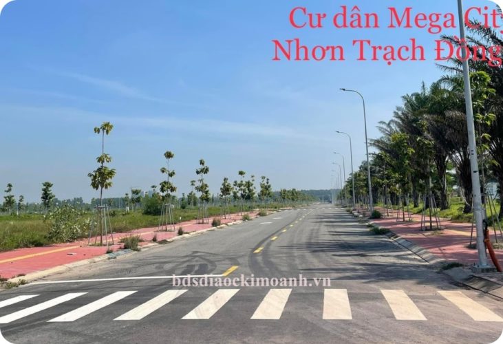 mega city 2 dot nong thi truong dat nen nhon trach 5