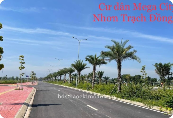 mega city 2 thoi co dau tu bds tai nhon trach 1