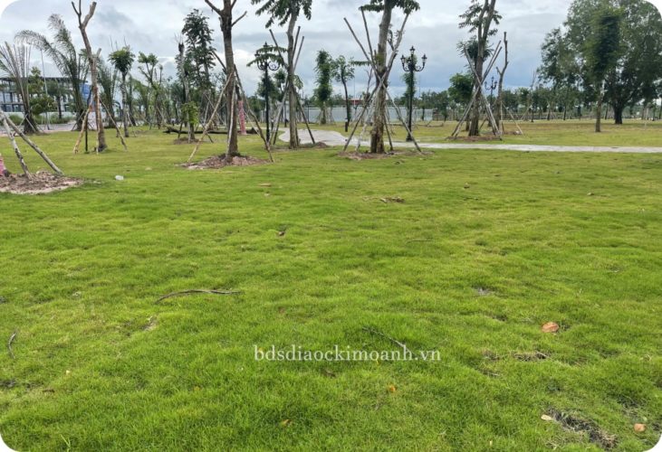 mega city 2 khuay dao thi truong nhon trach 5