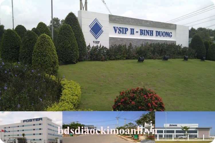 dat nen ben cat noi song nho fdi 7