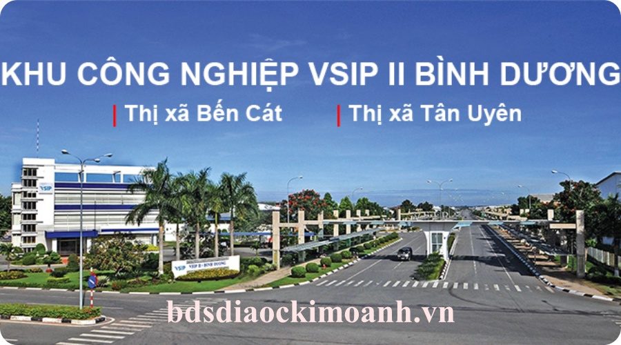 dat nen ben cat noi song nho fdi 8