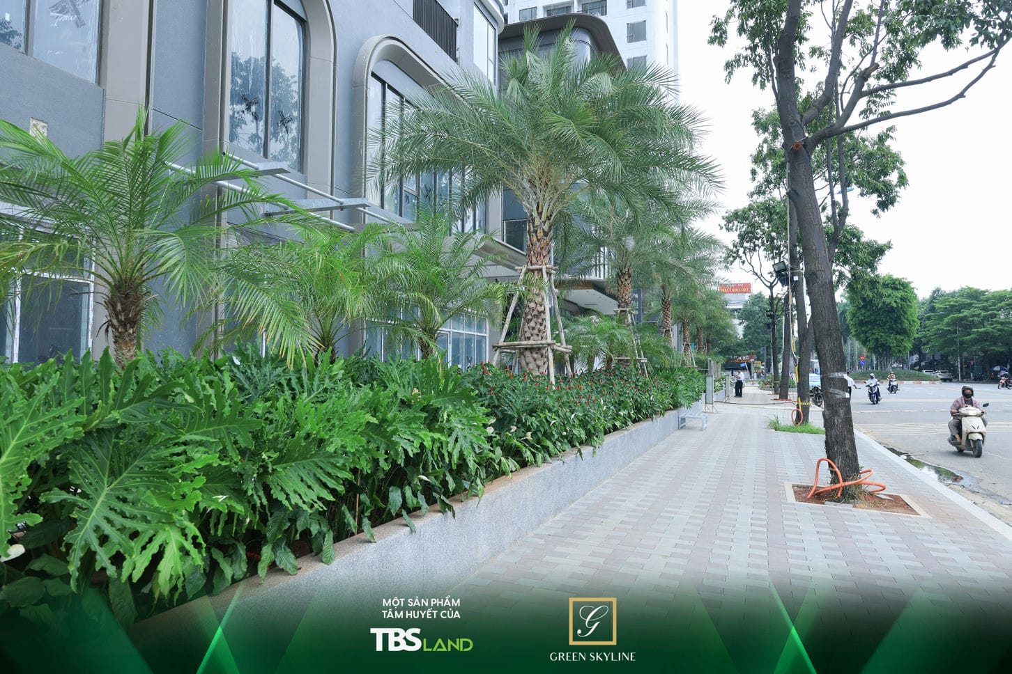 Dự Án Green Skyline Dĩ An | Bảng Giá Mới Nhất 2026 & Chính Sách Ưu Đãi 57 Anh 20 of 129tien do thuc te green skyline